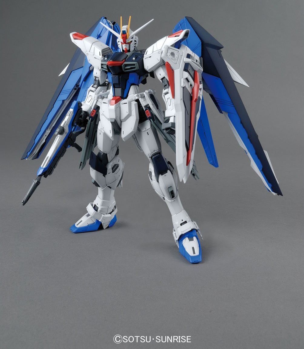 (MG) 1/100 ZGMF-X10A FREEDOM GUNDAM VER 2.0