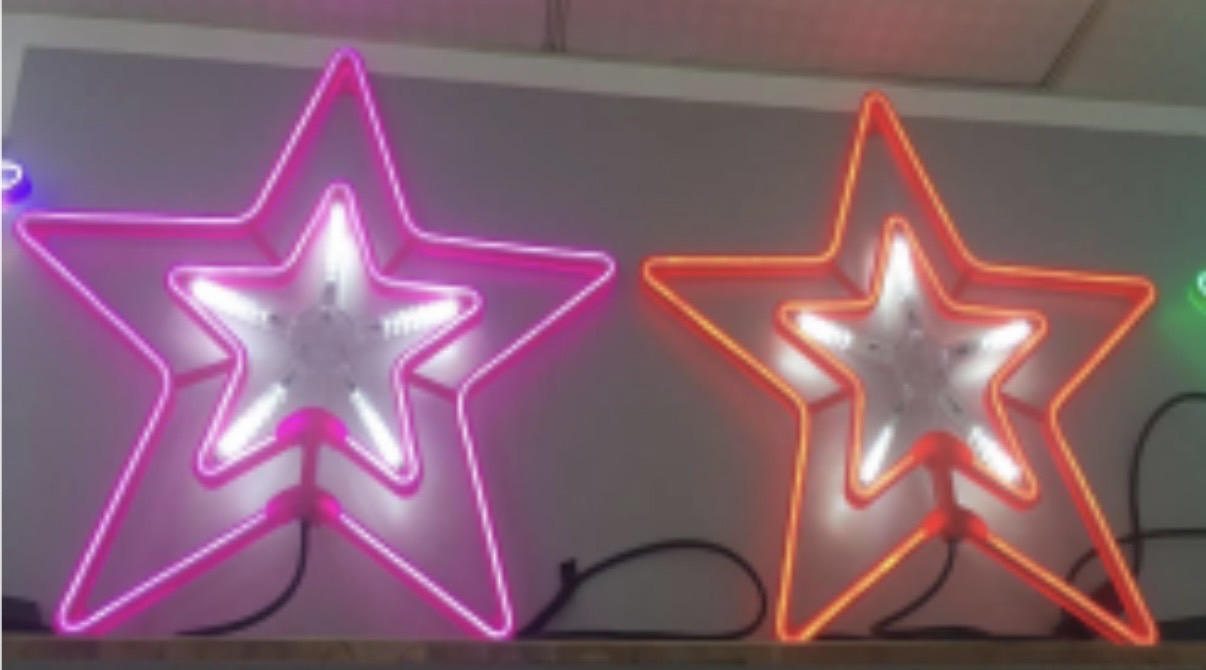 ดาวไฟคริสต์มาส2/1