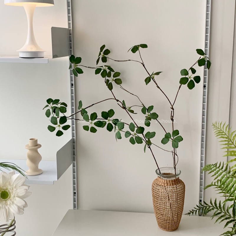 [พร้อมส่ง] Jnihouse : กิ่งไม้ประดิษฐ์ ใบ5แฉก (Green leaves)(Tree)