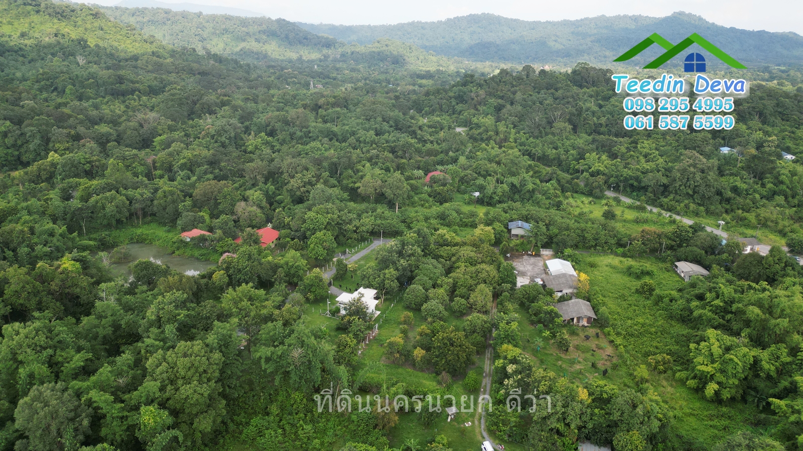 🌳🍊 ที่ดินนครนายก สวนผลไม้ เนื้อที่ 2 ไร่ ในทำเลติดกับภูเขา วิวสวยงาม ผลไม้เก็บผลผลิตได้แล้ว