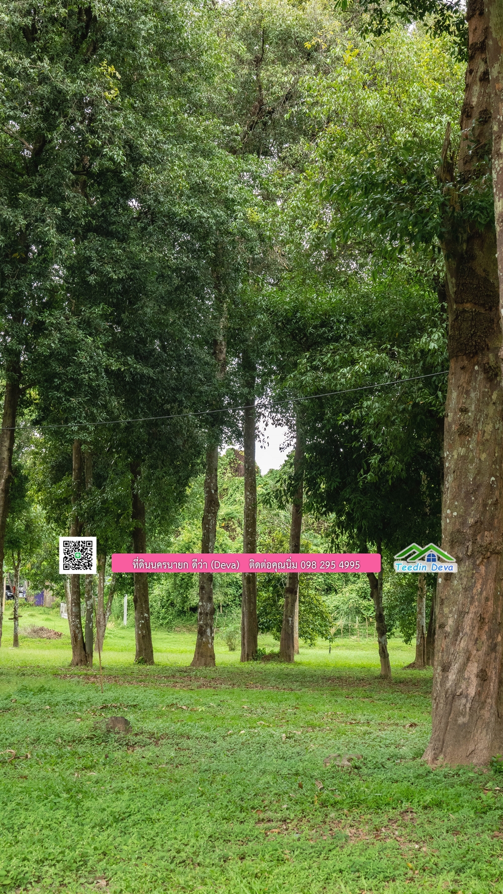 ที่ดินนครนายก ติดแม่น้ำ 14 ไร่ พื้นที่ติดแม่น้ำ 400 เมตร ชมลำธารสวยๆ บรรยากาศสบายๆ ต.สาริกา อ.เมือง จ.นครนายก