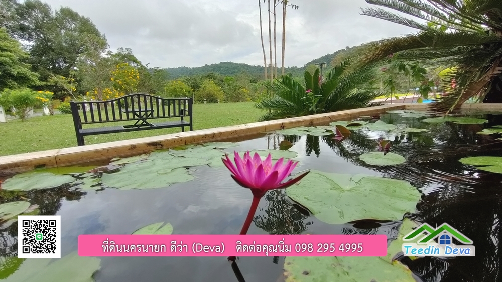 ขายรีสอร์ท พูลวิลล่า กลางขุนเขา ล้อมรอบด้วยธรรมชาติ พื้นที่ 10 ไร่