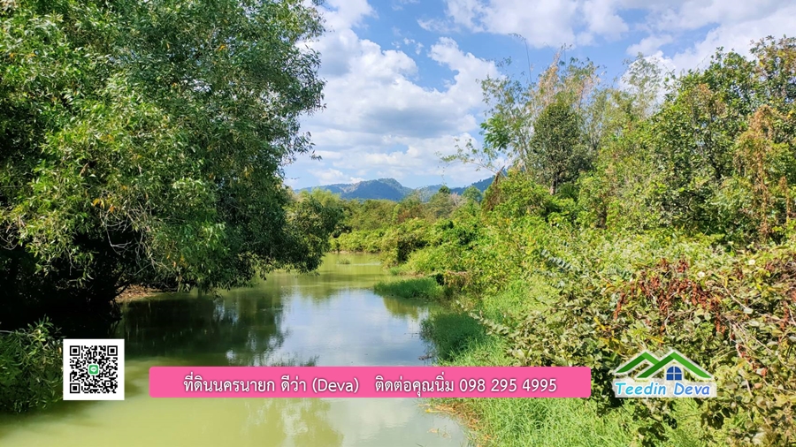 บ้านสวนผลไม้ ใกล้กับแหล่งท่องเที่ยว เจ้าของปลูกมะยงชิด ส้มโอ ต้นกฤษณา 20 ไร่ อยู่ติดถนนสายท่องเที่ยว สาริกา-นางรอง ต.สาริกา อ.เมือง จ.นครนายก