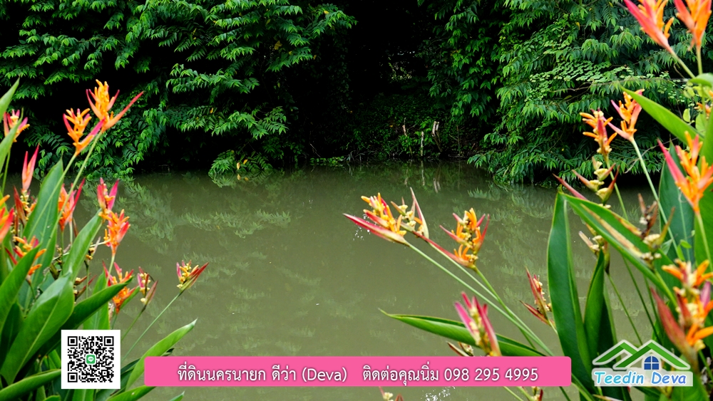 ขายรีสอร์ท ใกล้ โรงเรียนนายร้อย จปร. นครนายก พื้นที่ 3 ไร่ ทำเลดี ด้านหน้าติดถนนลาดยาง ด้านหลังลำคลองธรรมชาติ