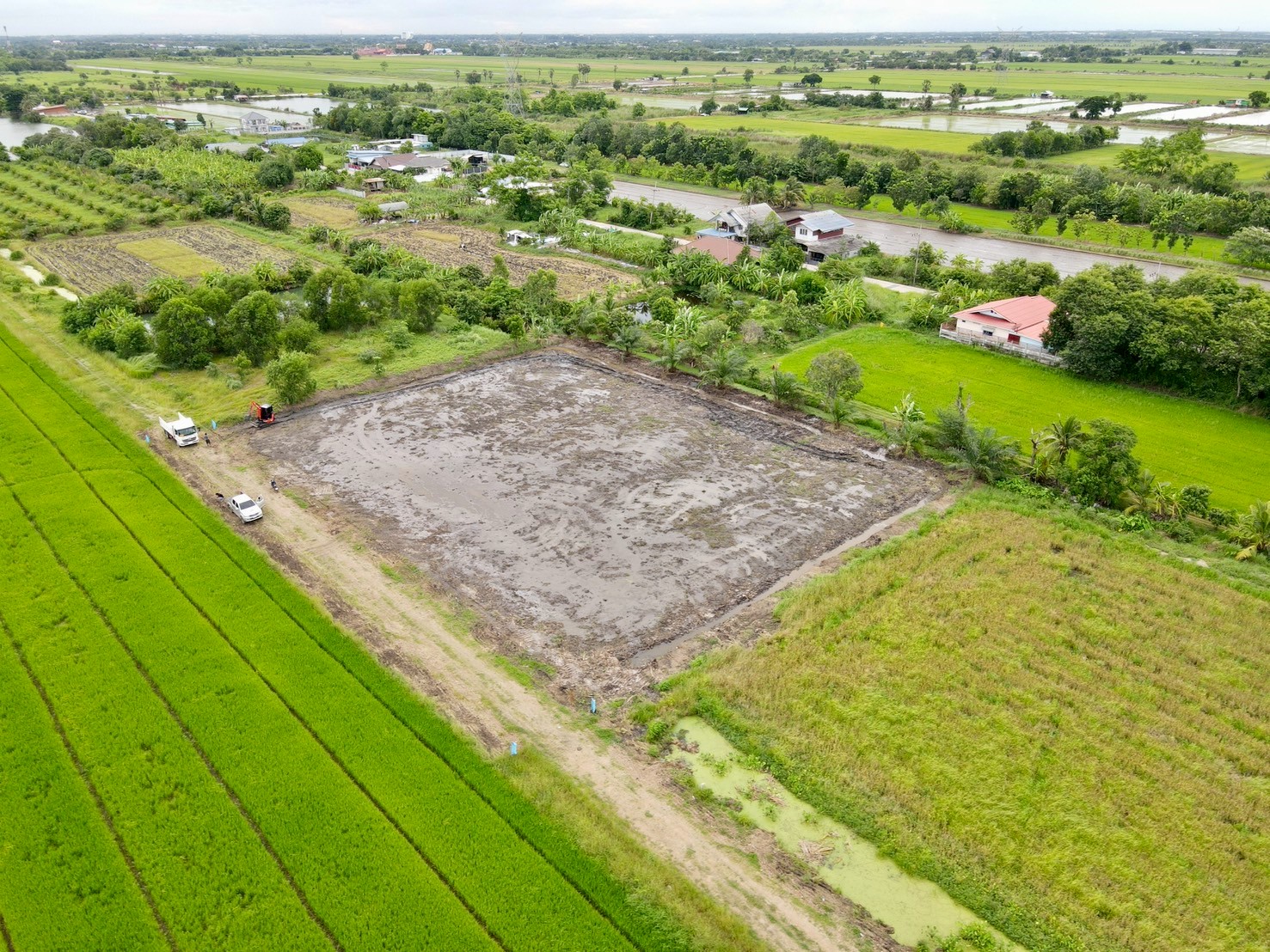 "ที่ดินในฝัน ใกล้เมือง 🌿 1 ไร่ – คลอง 8 หนองเสือ จ.ปทุมธานี"