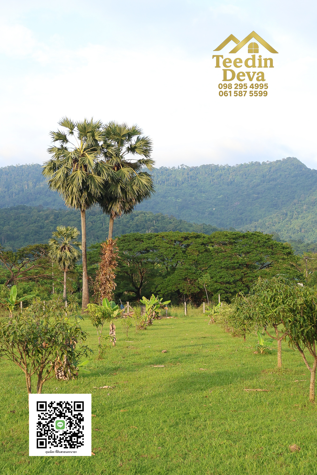🌿 เริ่มต้นความสุขเล็ก ๆ ด้วยที่ดินแปลงสวย วิวเขา กลางธรรมชาติ ต.สาริกา อ.เมือง จ.นครนายก 💚