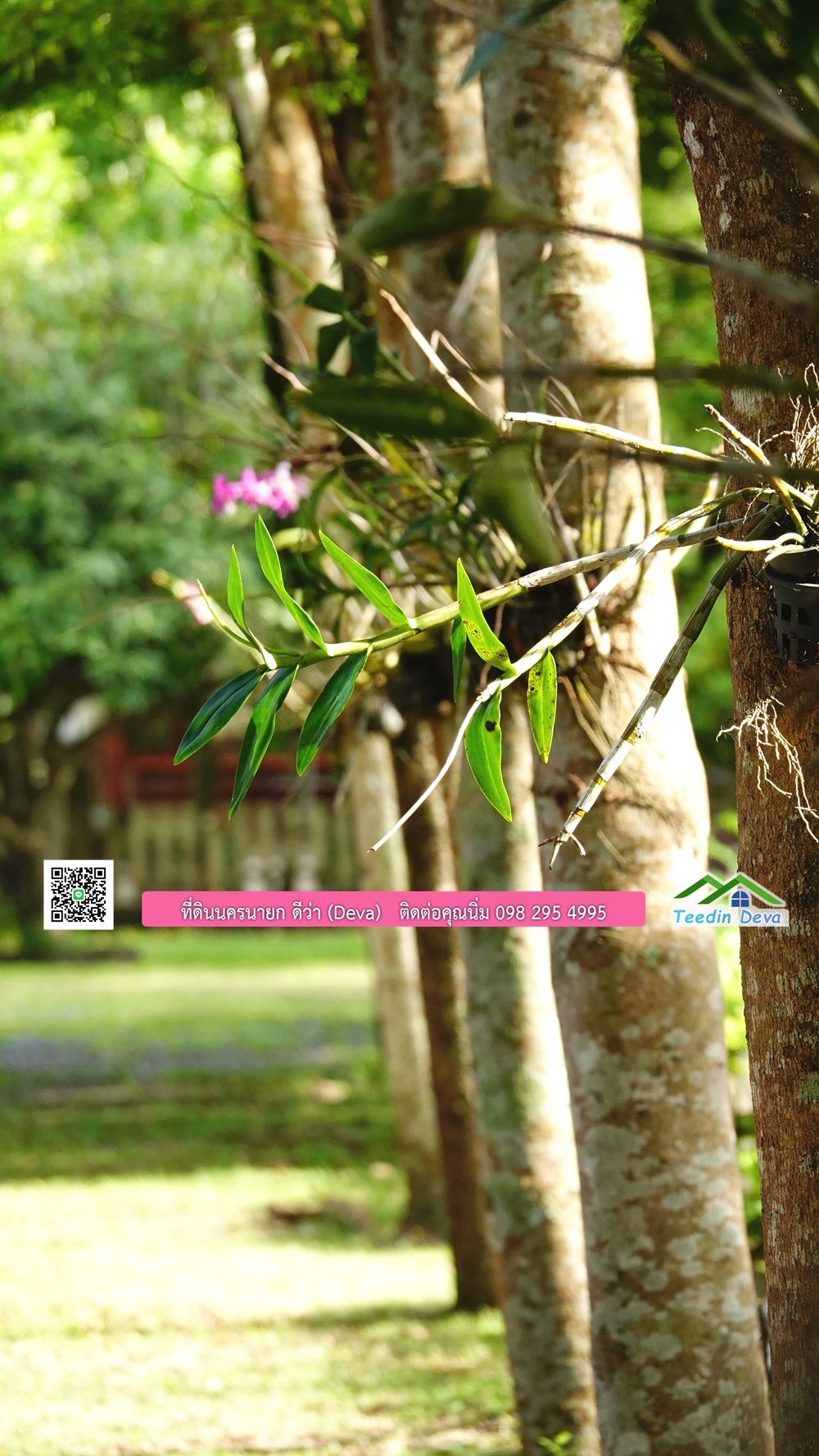 ขายรีสอร์ท ขนาด 10 ไร่ บรรยากาศดี ใกล้แหล่งท่อเที่ยว