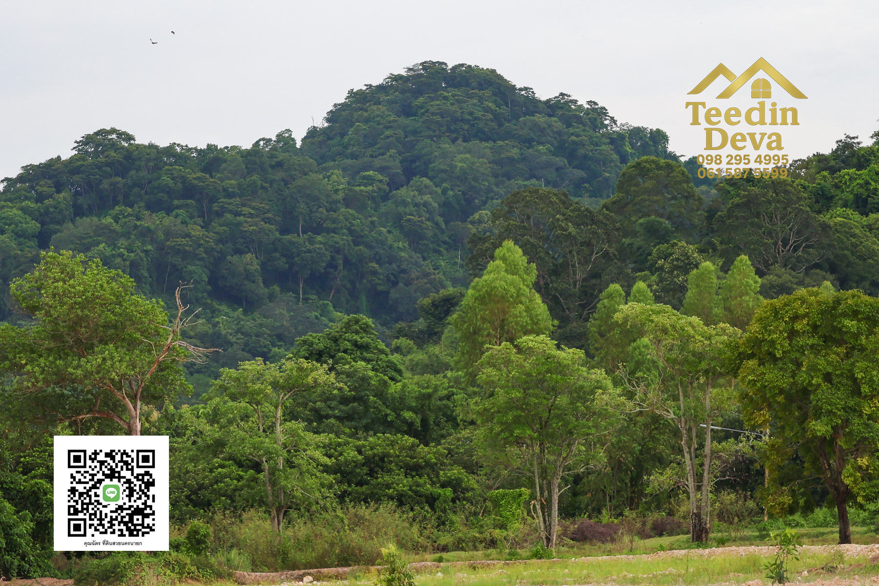 ตื่นเช้ามาพร้อมวิวเขา สูดอากาศบริสุทธิ์ได้ทุกวัน ที่นี่ เนื้อที่ 1 ไร่ ... ต.สาริกา นครนายก