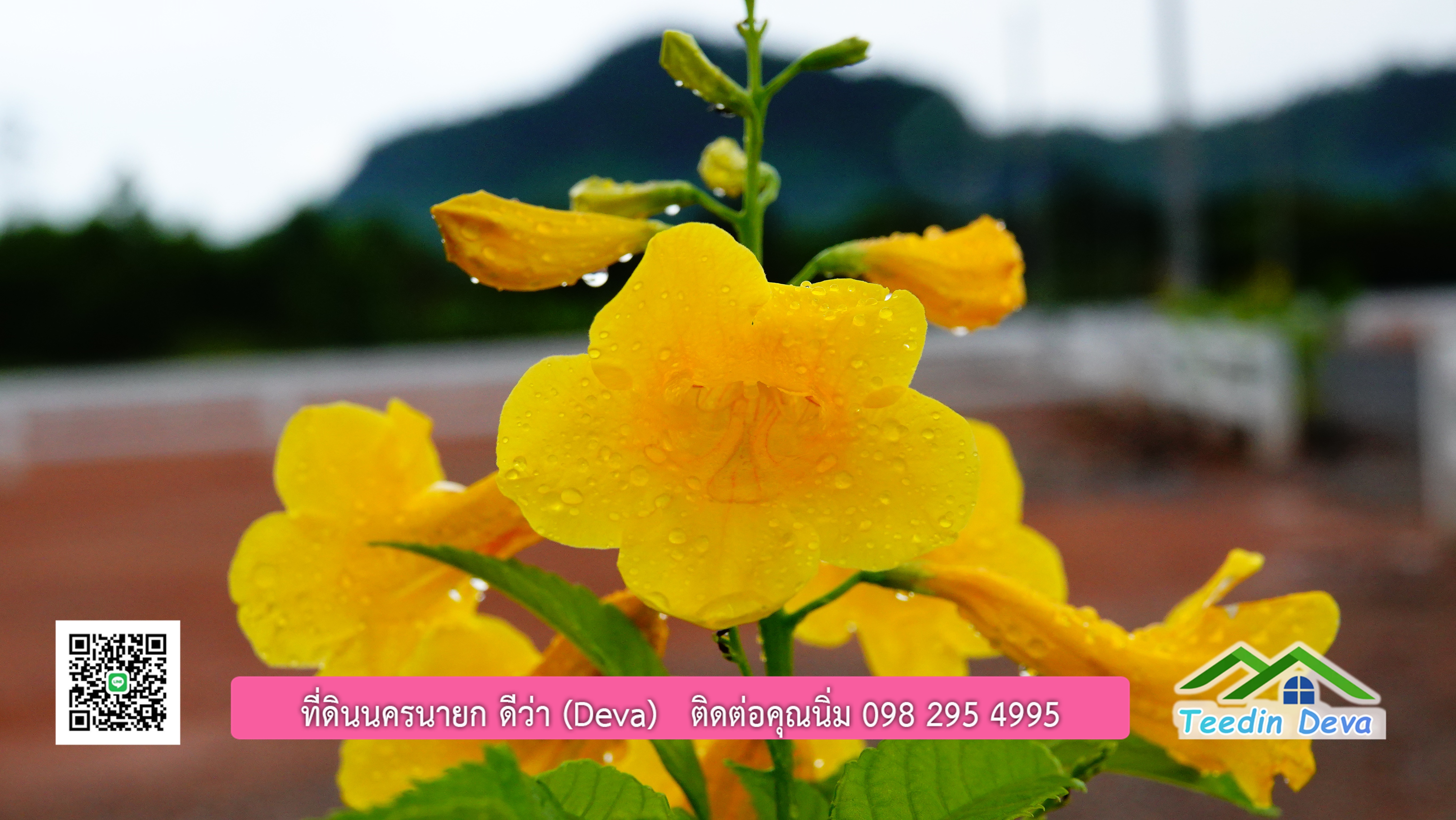 ที่ดินนครนายก วิวภูเขาสวยๆ ราคาแปลงละ 1.36 ล้านบาท สด และผ่อน