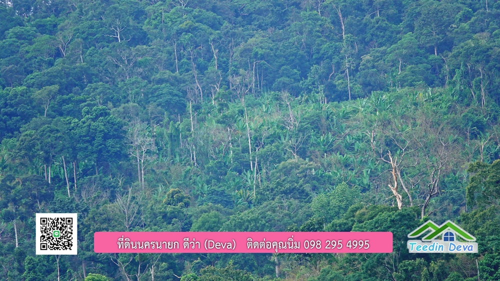 ที่ดินนครนายก ติดลำธารสวยๆ ที่ดินแปลงสวย 6 ไร่ ทำเลดี ในอ้อมกอดของขุนเขา ด้านหลังติดลำธารธรรมชาติ