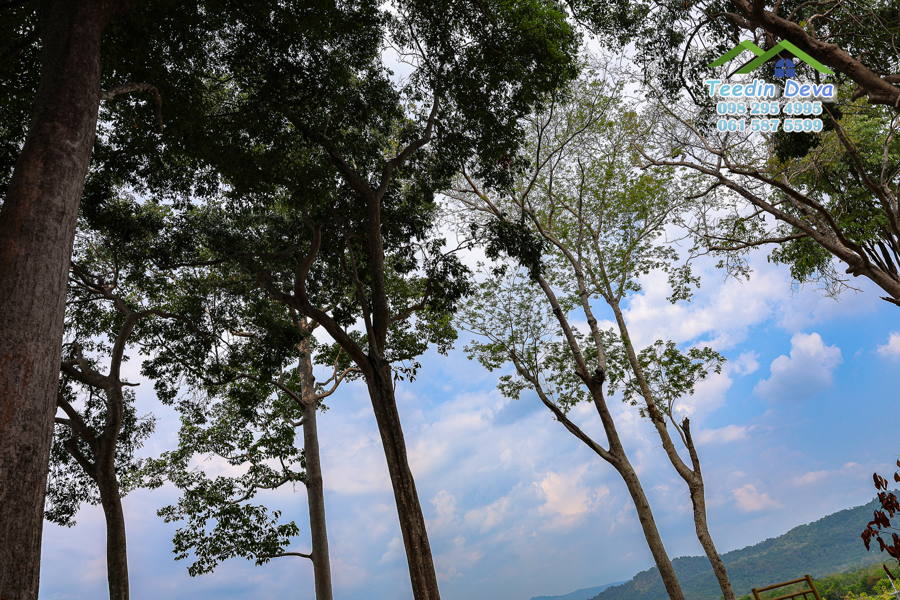 🌿 “มุมสงบแห่งภูกะเหรี่ยง” ที่ดินวิวเขา ริมคลองน้ำใส 297 ตรว. ต.หินตั้ง อ.เมือง จ.นครนายก สำเนา