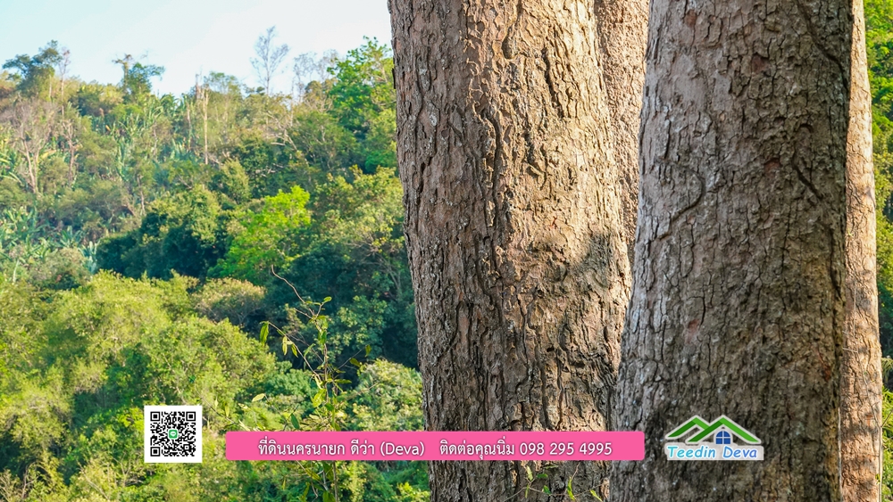 ที่ดินนครนายก วิวเขาพระ เขาใหญ่ ⭐ อยู่ใกล้แหล่งท่องเที่ยว เดินทางสะดวก ต.เขาพระ อ.เมือง จ.นครนายก