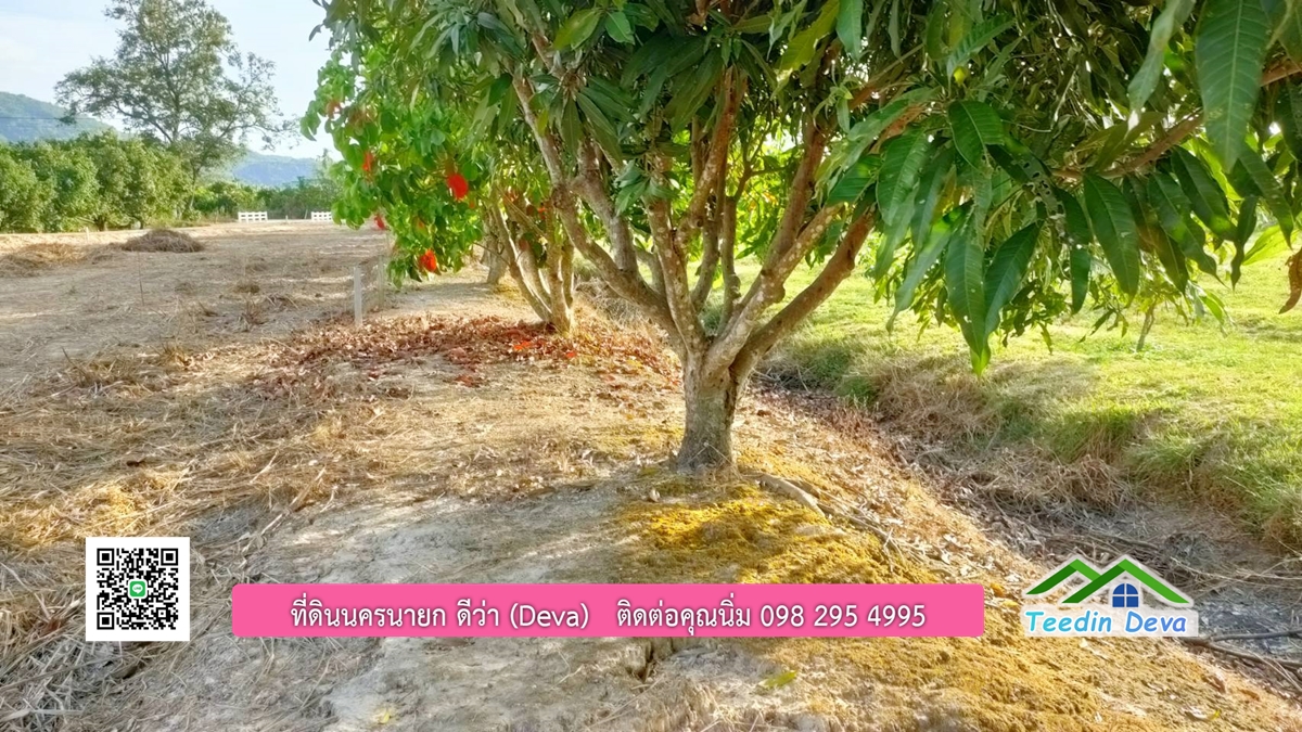 ที่ดินวิวภูเขา แปลงสวย เนื้อที่ 1 ไร่ 3 งาน ด้านหน้าวิวภูเขา ด้านหลังเป็นสวนผลไม้ ต.เขาเพิ่ม อ.บ้านนา จ.นครนายก