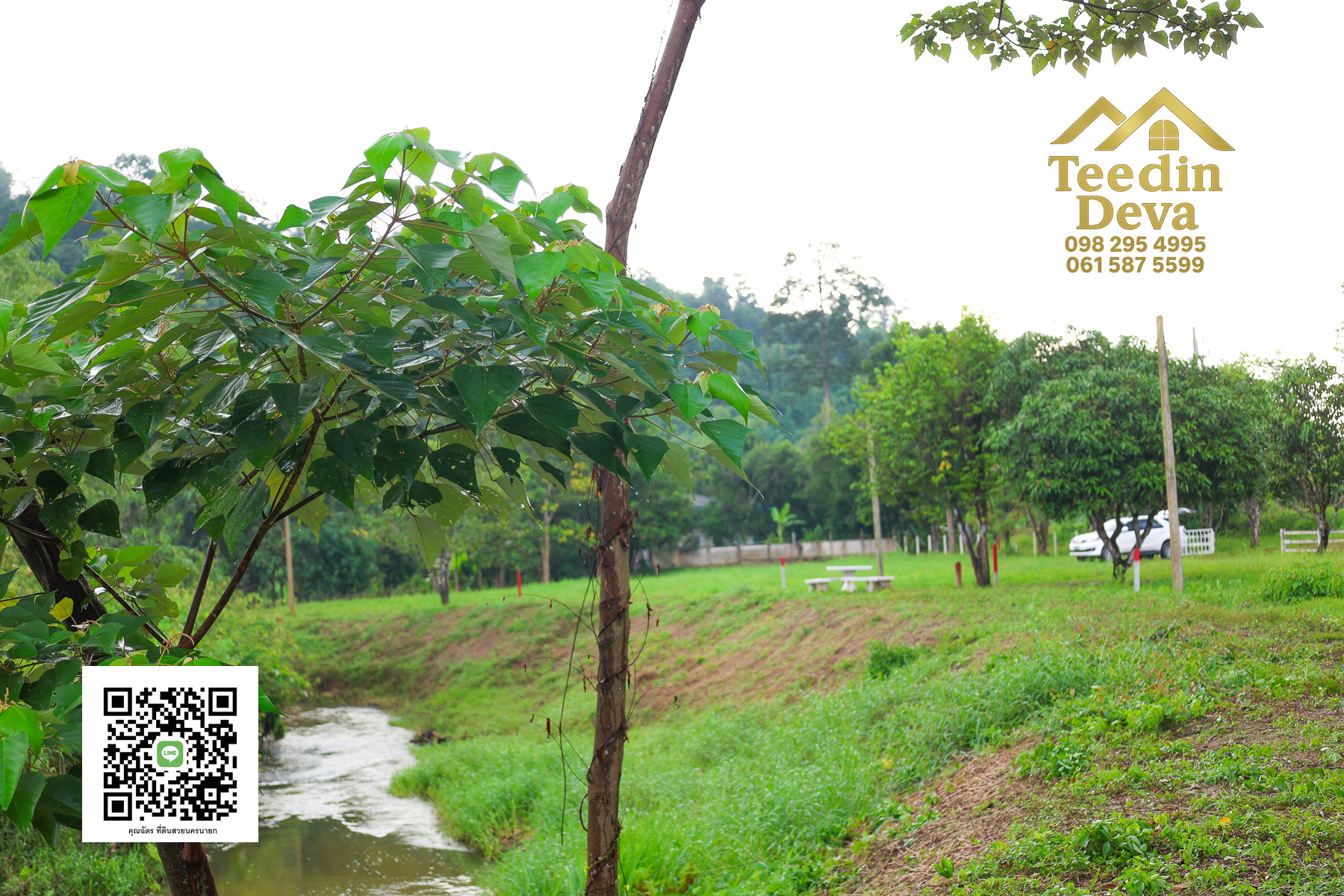 🌿 สร้างบ้านในฝัน วิวเขาใหญ่ ติดริมลำธารธรรมชาติ 237 ตร.ว. ต.หินตั้ง อ.เมือง จ.นครนายก 🌄