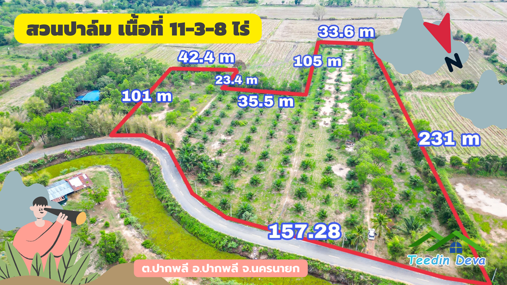 ขายที่ดิน สวนปาล์ม แปลงสวย ทำเลดี เนื้อที่ 11-3-8 ไร่ ให้ผลผลิตแล้ว อ.ปากพลี จ.นครนายก