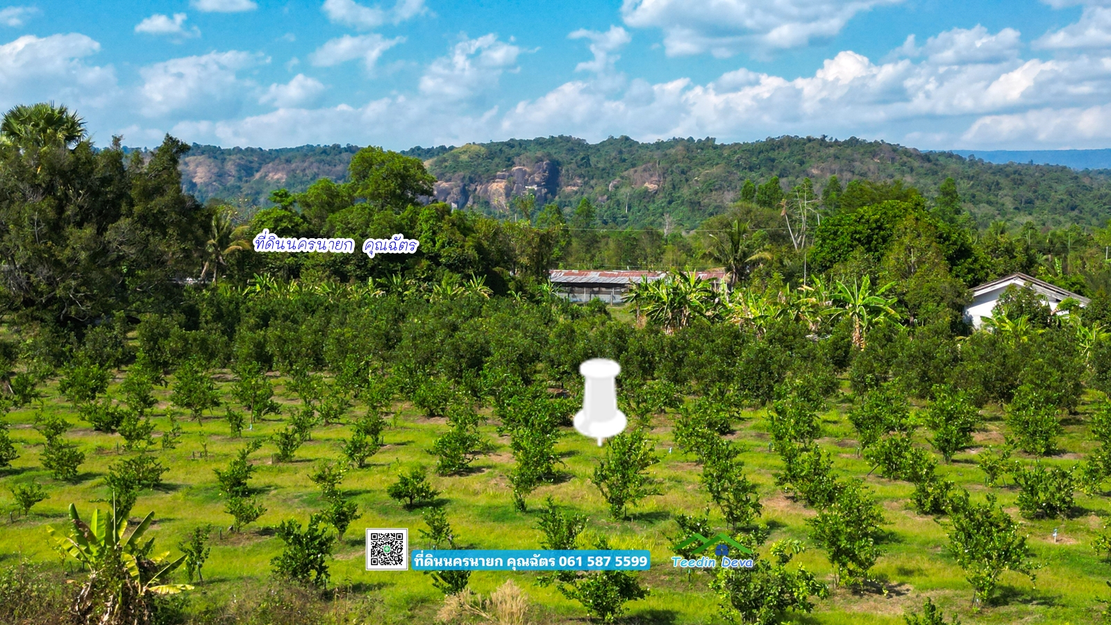 ที่ดินนครนายก วิวภูเขา นาหินลาด ปากพลี ที่ดินสวย วิวเขาโตๆ 9 ไร่ 2 งาน เงียบสงบ เป็นส่วนตัว