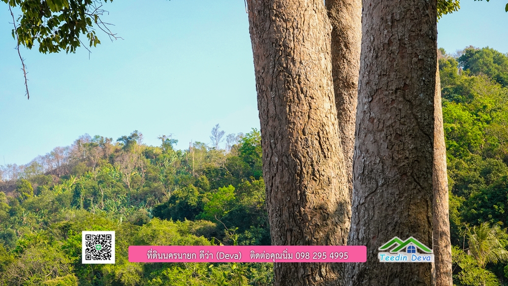 ที่ดินนครนายก วิวเขาพระ เขาใหญ่ ⭐ อยู่ใกล้แหล่งท่องเที่ยว เดินทางสะดวก ต.เขาพระ อ.เมือง จ.นครนายก