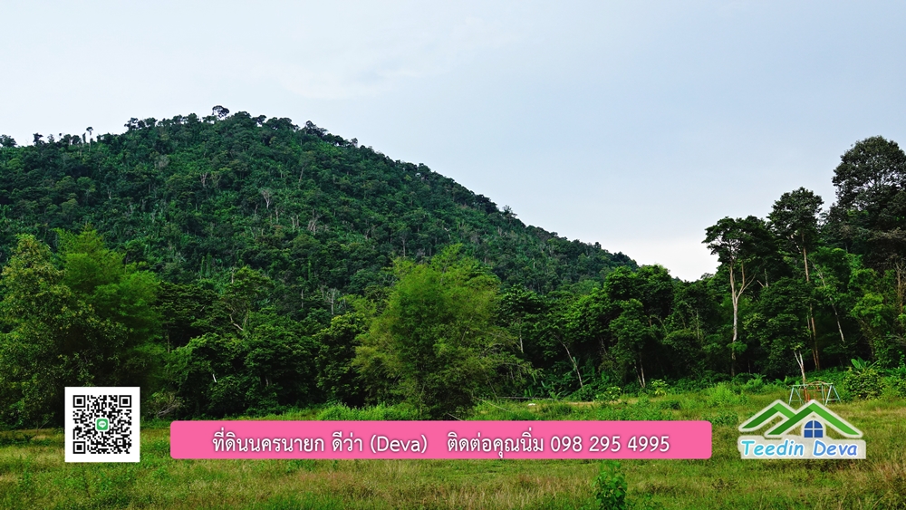 ที่ดินนครนายก ติดลำธารสวยๆ ที่ดินแปลงสวย 6 ไร่ ทำเลดี ในอ้อมกอดของขุนเขา ด้านหลังติดลำธารธรรมชาติ