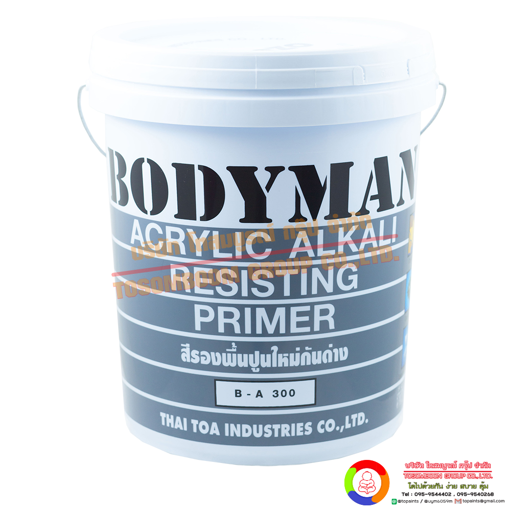 Bodyman Alkali Resisting Primer B-A300