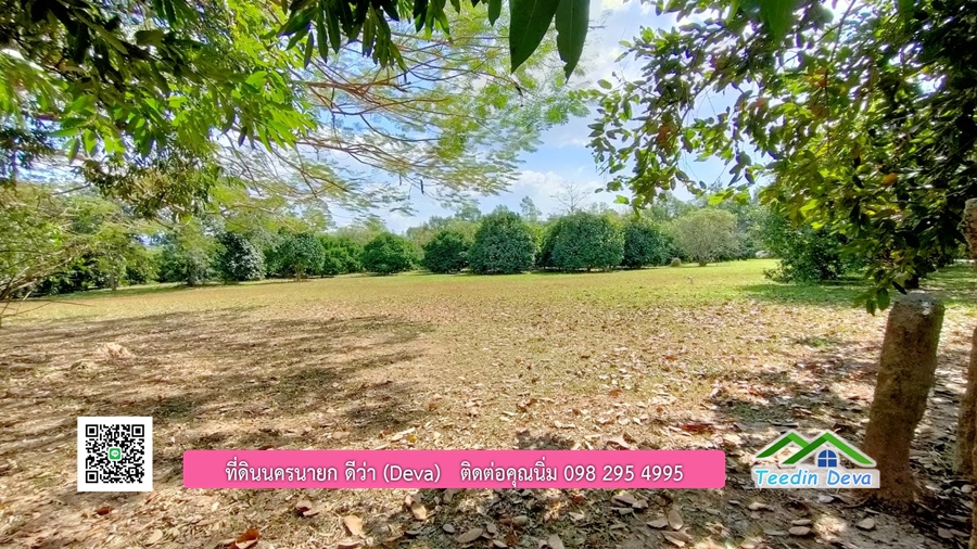 บ้านสวนผลไม้ ใกล้กับแหล่งท่องเที่ยว เจ้าของปลูกมะยงชิด ส้มโอ ต้นกฤษณา 20 ไร่ อยู่ติดถนนสายท่องเที่ยว สาริกา-นางรอง ต.สาริกา อ.เมือง จ.นครนายก