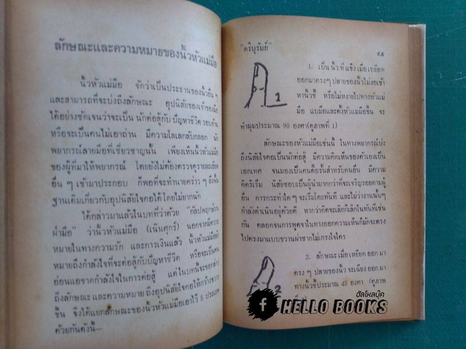 ลายมือ กับ กามารมณ์