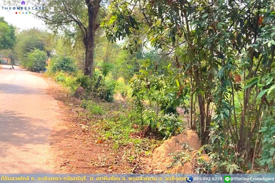 📣 ที่ดินสวยพร้อมทำกำไรดีกว่าฝากแบงค์ ปลูกต้นยูคาฯ ตอ2 กำลังโต พร้อมเก็บเกี่ยว ใกล้ ถ. ฉะเชิงเทรา-กบินทร์บุรี น้ำ-ไฟฟ้าเข้าถึงเรียบร้อย เดินทางเข้าออกสะดวก ต. เขาหินซ้อน อ. พนมสารคาม จ. ฉะเชิงเทรา The Best ! | โทร. 085-992-9228