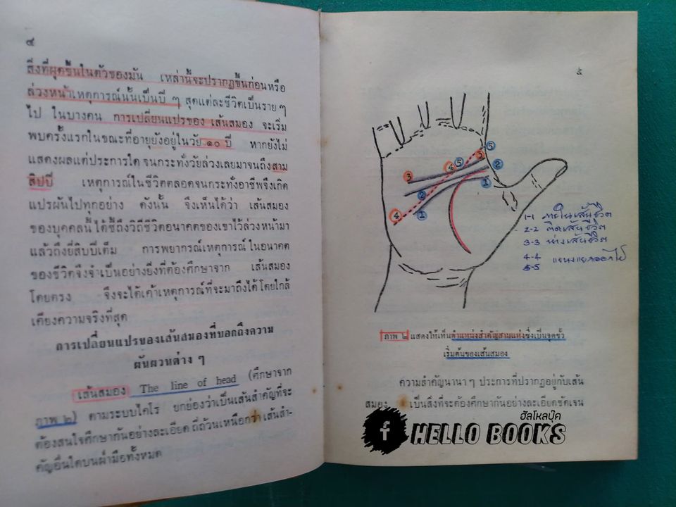 ตำราดูลายมือ ระบบไคโร