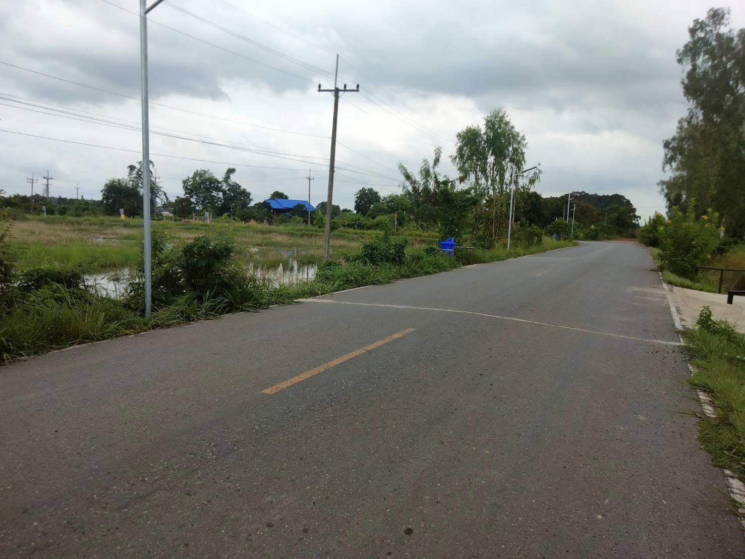 ที่ดินนครนายก บ้านสวนผลไม้ พื้นที่ 1 ไร่ 1 งาน ติดคลองส่งน้ำ ปลูกผลไม้หลากหลาย อ.ปากพลี จ.นครนายก