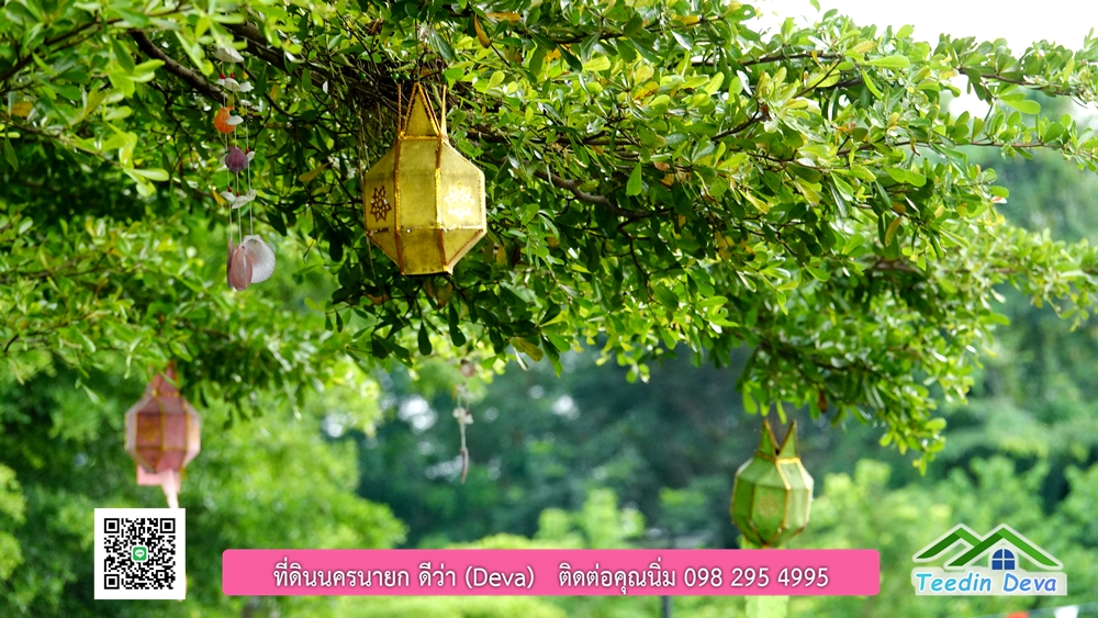 ขายรีสอร์ท ใกล้ โรงเรียนนายร้อย จปร. นครนายก พื้นที่ 3 ไร่ ทำเลดี ด้านหน้าติดถนนลาดยาง ด้านหลังลำคลองธรรมชาติ