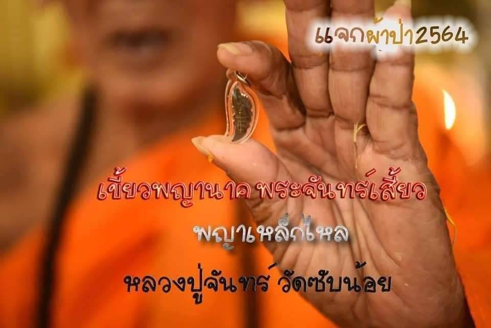 เขี้ยวพญานาคพระจันทร์เสี้ยว รุ่นมหาเศษรฐี หลวงปู่จันทร์ ฐิตาจาโร วัดซับน้อย