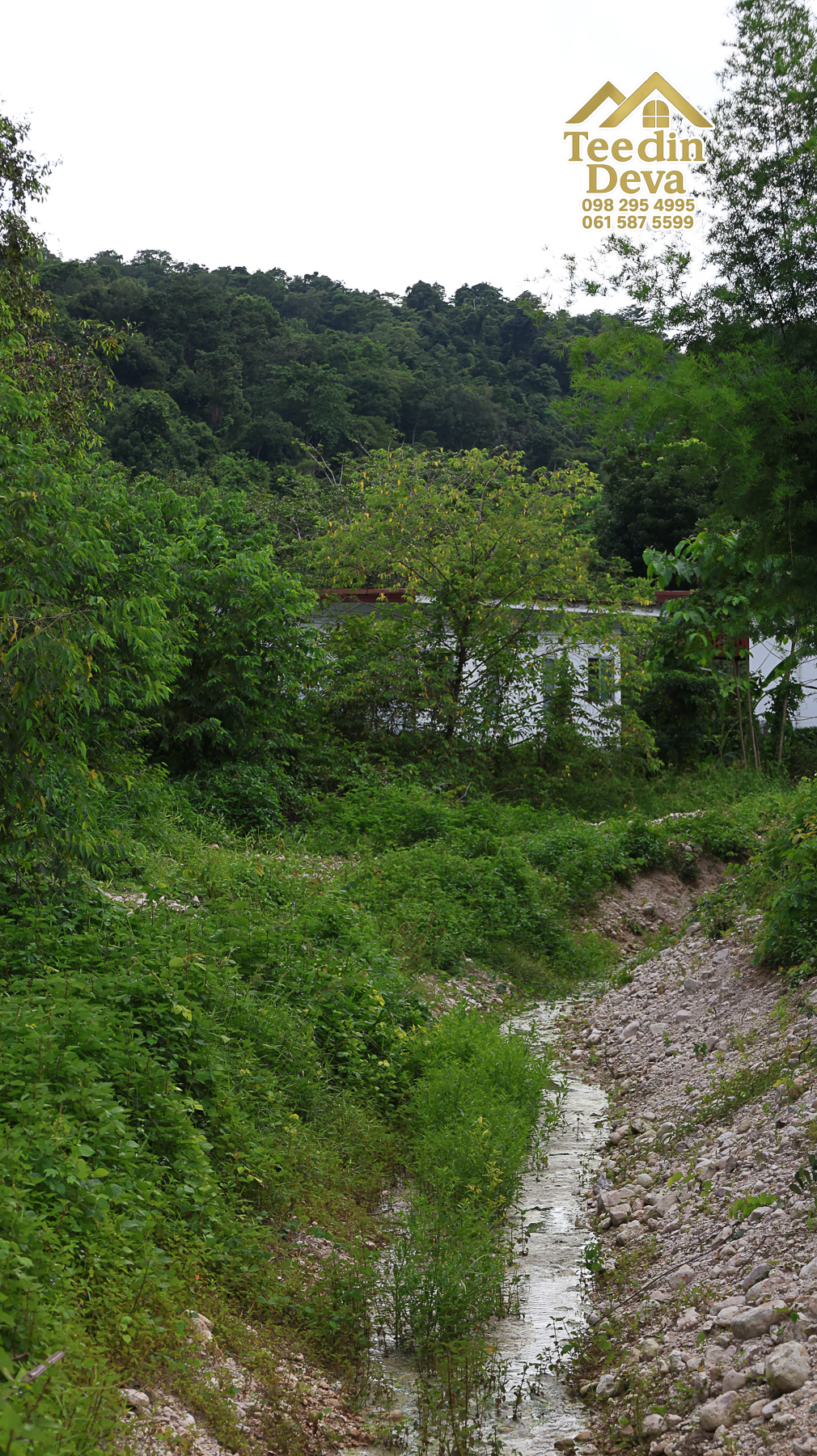 🏞️ “ผืนธรรมชาติกลางหุบเขา” 12 ไร่ 2 งาน 93.3 ตร.วา – ต.สาริกา อ.เมือง จ.นครนายก 🌳