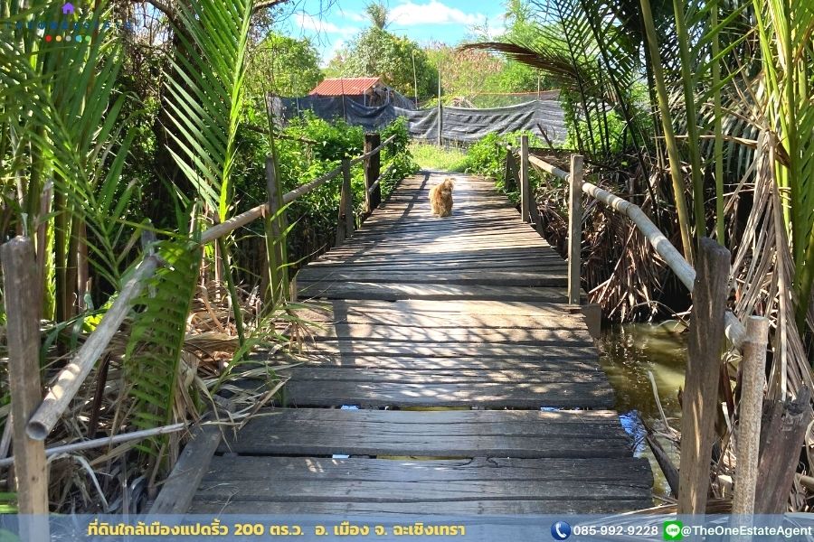 📣 ขายด่วน! ที่ดินเมืองแปดริ้วบรรยากาศสวน 200 ตรว. บรรยากาศดีมาก เหมาะทั้งทำการเกษตร สร้างบ้านอาศัย ต.บางตีนเป็ด อ.เมือง จ.ฉะเชิงเทรา The Best ! | โทร. 085-992-9228