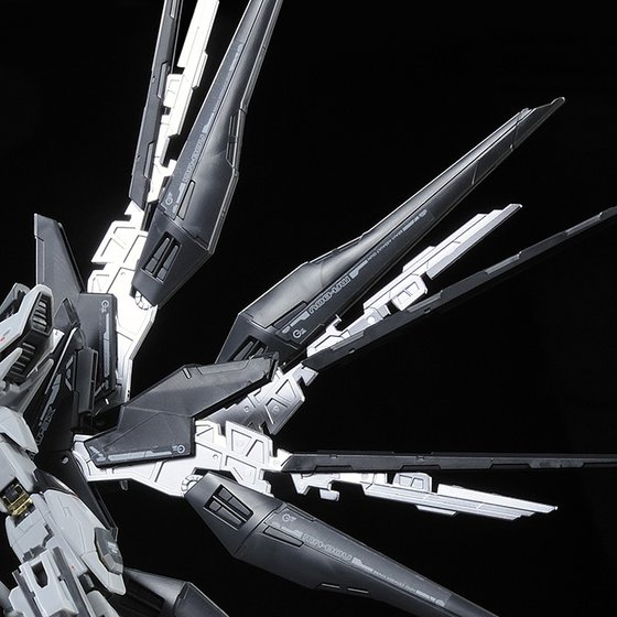 (RG) 1/144 STRIKE FREEDOM GUNDAM DEACTIVE MODE(Premium Bandai)