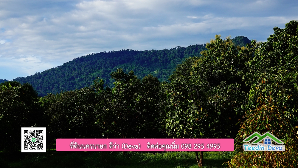 (ðī āļāļīāļāļāļēāļĢāļāļēāļĒ) āļāļĩāđāļāļīāļāļāļāļĢāļāļēāļĒāļ āļāļīāļāļĨāļģāļāļēāļĢ āļāļĨāļđāļāļāļĨāđāļĄāđ 8 āđāļĢāđ 2 āļāļēāļ āļ.āļŠāļēāļĢāļīāļāļē āļ.āđāļĄāļ·āļāļ āļ.āļāļāļĢāļāļēāļĒāļ