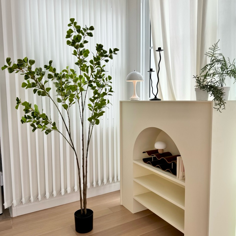 [พร้อมส่ง] Jnihouse : ไทรหัวใจใบด่างประดิษฐ์ (Tree)