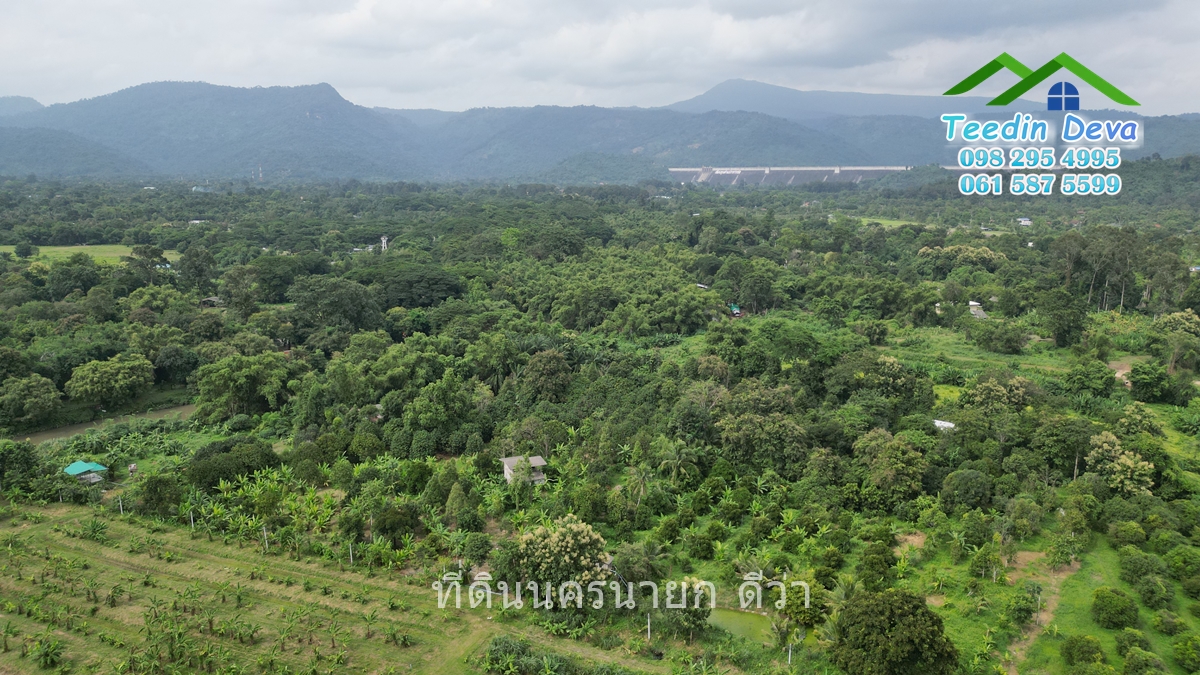 🌊 ที่ดินนครนายก ติดแม่น้ำ สร้างบ้านที่คุณฝันถึง! ณ ต.สาริกา อ.เมือง จ.นครนายก เนื้อที่ทั้งหมด 7 ไร่ - กับบรรยากาศที่ลงตัว