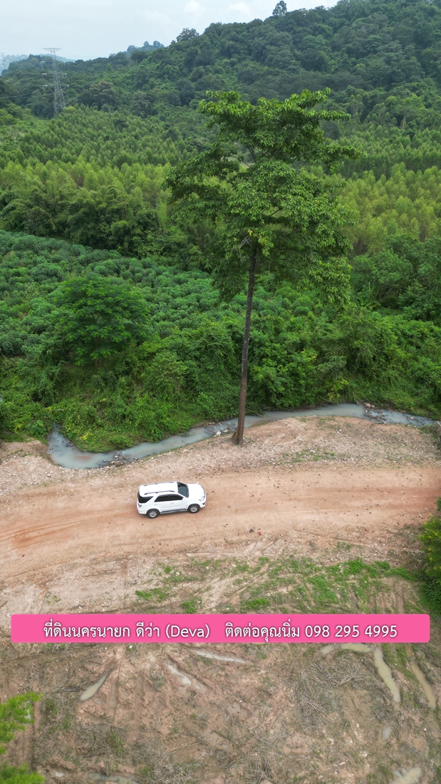 🌳 ขายที่ดินนครนายก 1 ไร่ 80 ตรว อยู่ด้านในหุบเขา มีวิวภูเขาสวยๆ ด้านหน้าเป็นลำธารเล็กๆ ต.เขาเพิ่ม อ.บ้านนา จ.นครนายก โฉนดครุฑแดง