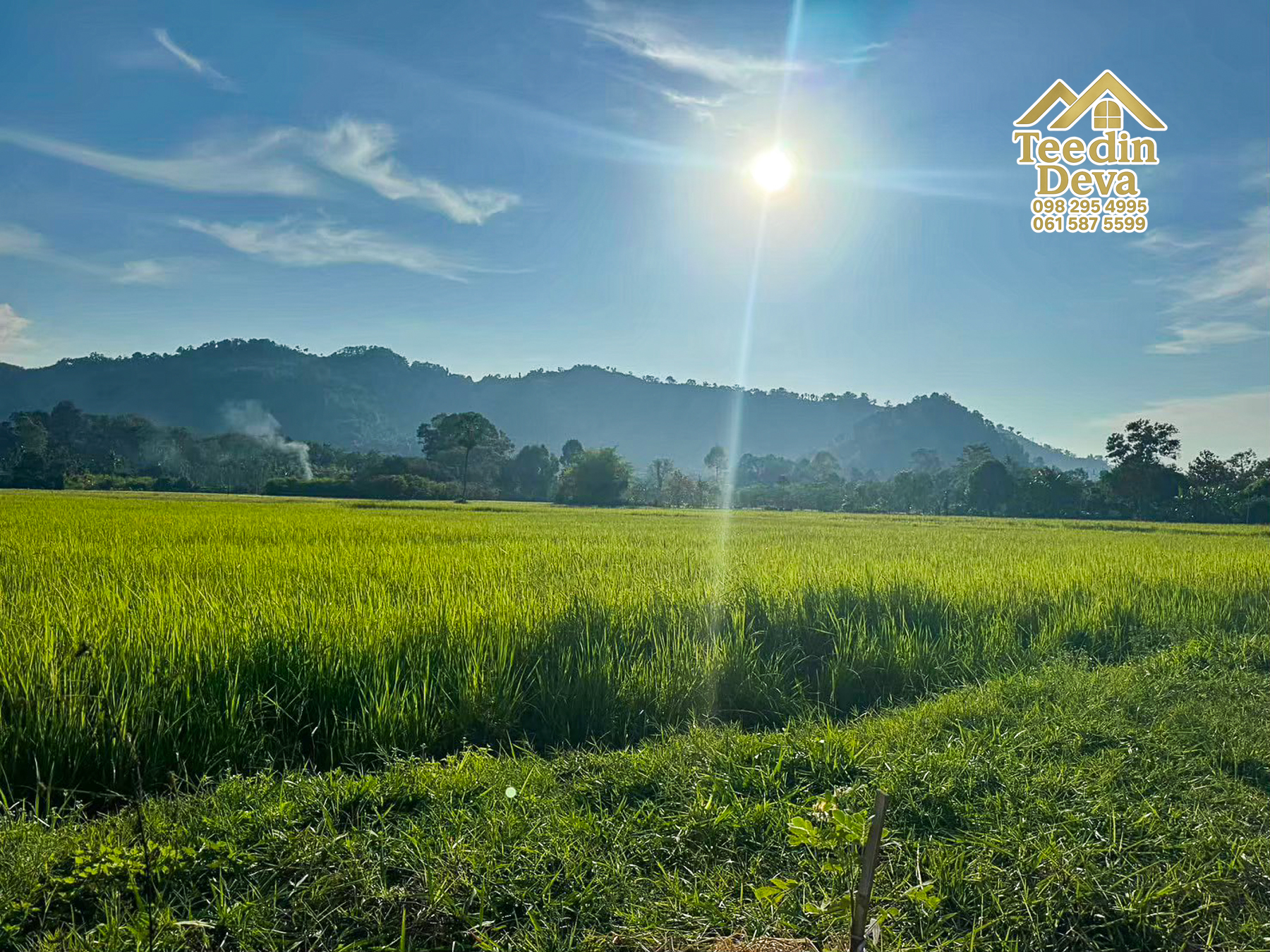 🏞️ ที่ดินวิวภูเขา จุดเริ่มต้นของบ้านในฝัน เนื้อที่ 300 ตารางวา ต.เขาพระ อ.เมือง จ.นครนายก