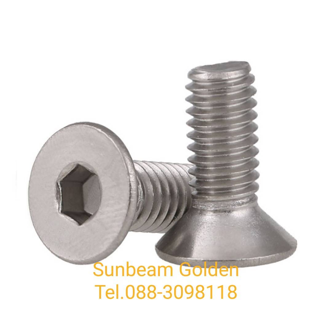 สแตนเลส สกรู Stainless screw