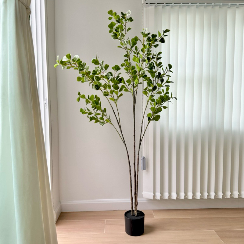 [พร้อมส่ง] Jnihouse : ไทรหัวใจใบด่างประดิษฐ์ (Tree)