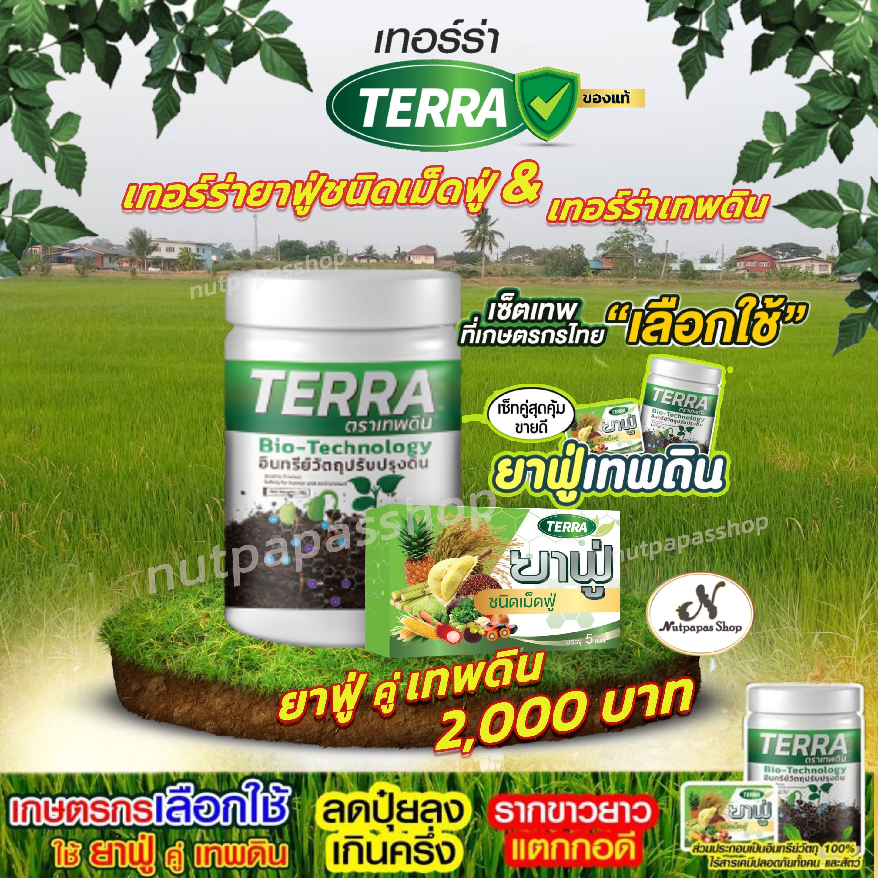 สินค้าทางการเกษตร ยาฟู่ 1 เทพดิน1 กรดอะมิโนสำหรับพืช กรดอะมิโนเข้มข้น เร่งการเติบโต พืชผัก นาข้าว ผลไม้ อาหารเสริมพืช ชิ้น 1