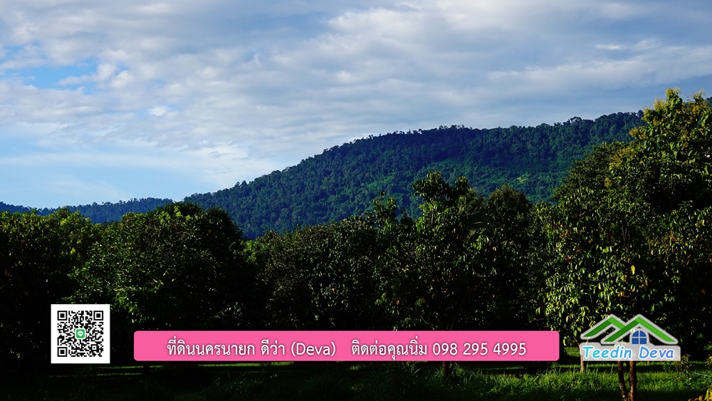 (ðī āļāļīāļāļāļēāļĢāļāļēāļĒ) āļāļĩāđāļāļīāļāļāļāļĢāļāļēāļĒāļ āļāļīāļāļĨāļģāļāļēāļĢ āļāļĨāļđāļāļāļĨāđāļĄāđ 8 āđāļĢāđ 2 āļāļēāļ āļ.āļŠāļēāļĢāļīāļāļē āļ.āđāļĄāļ·āļāļ āļ.āļāļāļĢāļāļēāļĒāļ