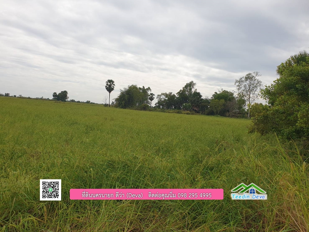 ที่ดินแปลงสวย ราคาถูก เนื้อที่ 33-1-67 ไร่ ราคาไร่ละ 250,000 บาท การเดินทางสะดวก อยู่ใกล้จุดชมนกเหยี่ยวหูดำ อ.ปากพลี จ.นครนายก