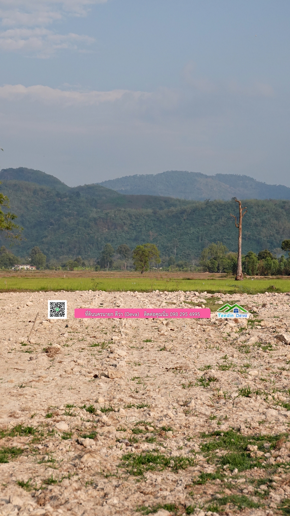 ที่ดินนครนายก วิวทุ่งนาต้นยางสวยๆ ขนาด 4 ไร่ ราคาไร่ละ 1.5 ล้าน ต.เขาเพิ่ม อ.บ้านนา จ.นครนายก