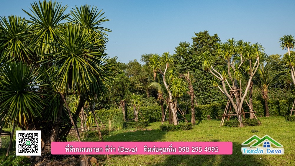 ขายบ้าน ทำเลธุรกิจ สามารถประยุกต์เป็นร้านอาหาร และคาเฟ่