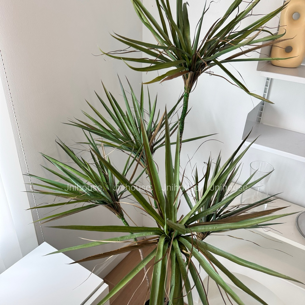 [พร้อมส่ง] Jnihouse : Dragon Tree ต้นไม้ประดิษฐ์ ขนาดสูง 150 cm (Tree)