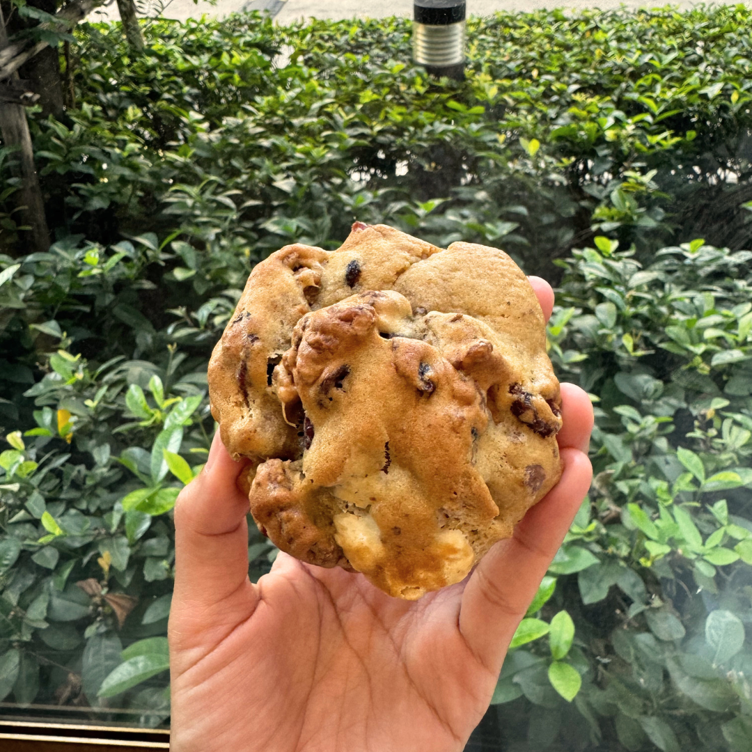Sourdough Walnut, Cranberry & White Chocolate Cookie (Set of 2)