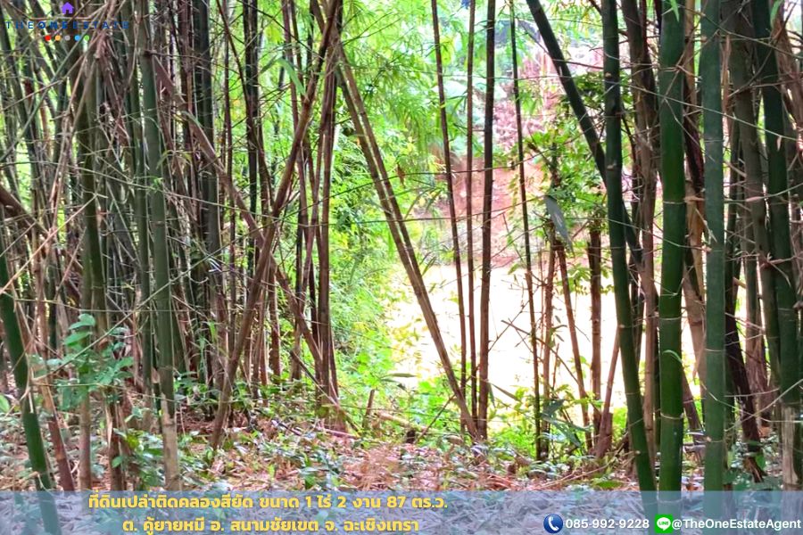 📣 ที่ดินติดคลองสียัด 1 ไร่ 2 งาน 87 ตร.ม. บรรยากาศร่มรื่น ซ.เทศบาล 21 ต.คู้ยายหมี อ.สนามชัยเขต จ.ฉะเชิงเทรา The Best ! | โทร. 085-992-9228