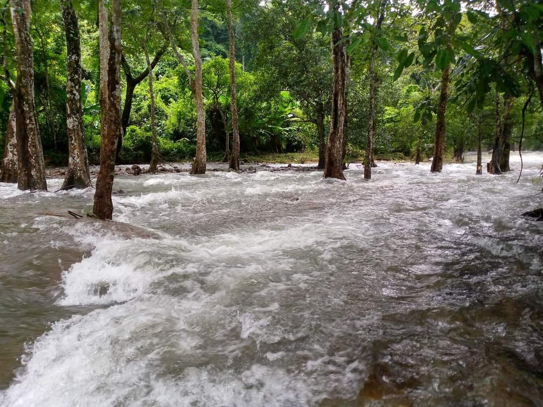 ที่ดินนครนายก ติดลำธารสวย บรรยากาศดีมากๆ วิวภูเขาล้อมพาโนราม่า ต.สาริกา อ.เมือง จ.นครนายก โฉนดครุฑแดง