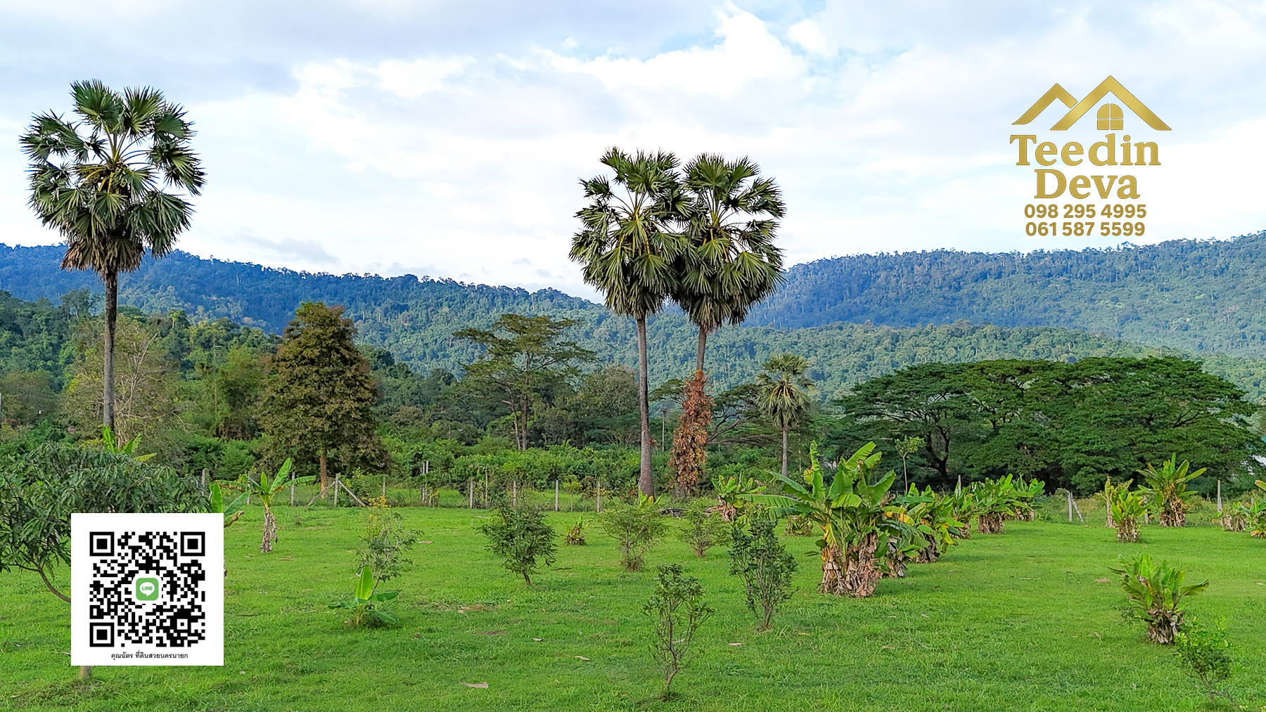 🌿 เริ่มต้นความสุขเล็ก ๆ ด้วยที่ดินแปลงสวย วิวเขา กลางธรรมชาติ ต.สาริกา อ.เมือง จ.นครนายก 💚